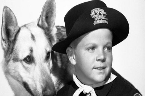 lee aaker morto