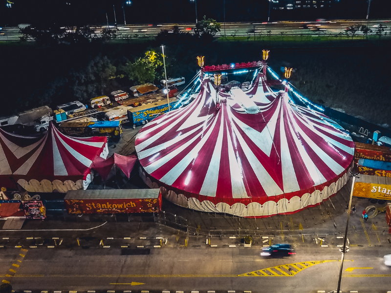 Sognare un circo: assolutamente tutto è possibile