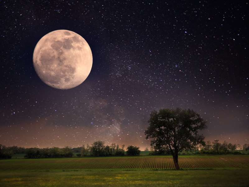 Incantesimi d’amore sotto la luna piena, migliora il loro effetto!