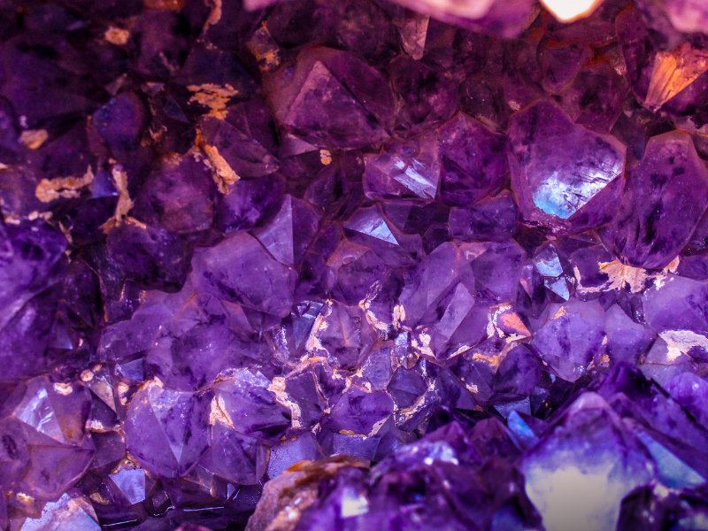 Porfirofobia: caratteristiche della paura del colore viola
