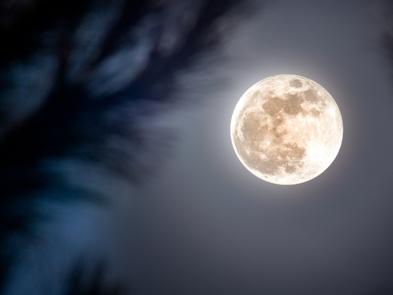 Selenofobia: è possibile avere paura della luna?