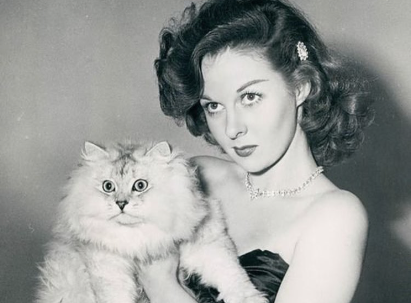 Chi è Susan Hayward? Incontra l’attrice degli anni ’30