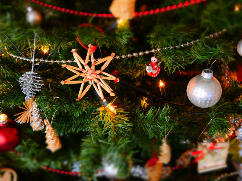 Sognando il vischio: la magia del Natale