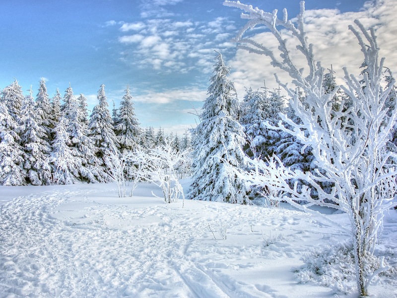 Criofobia o fobia del freddo: l’inverno sta arrivando