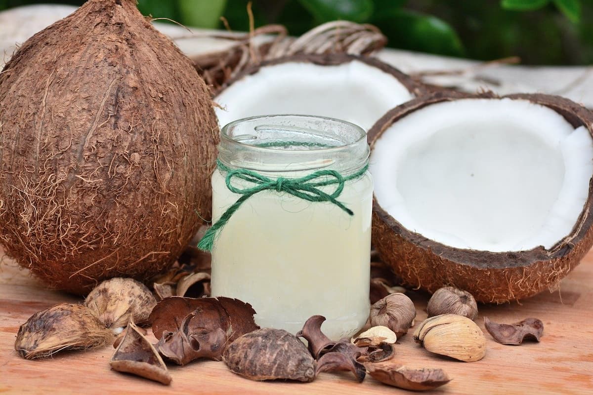 cocco pelle