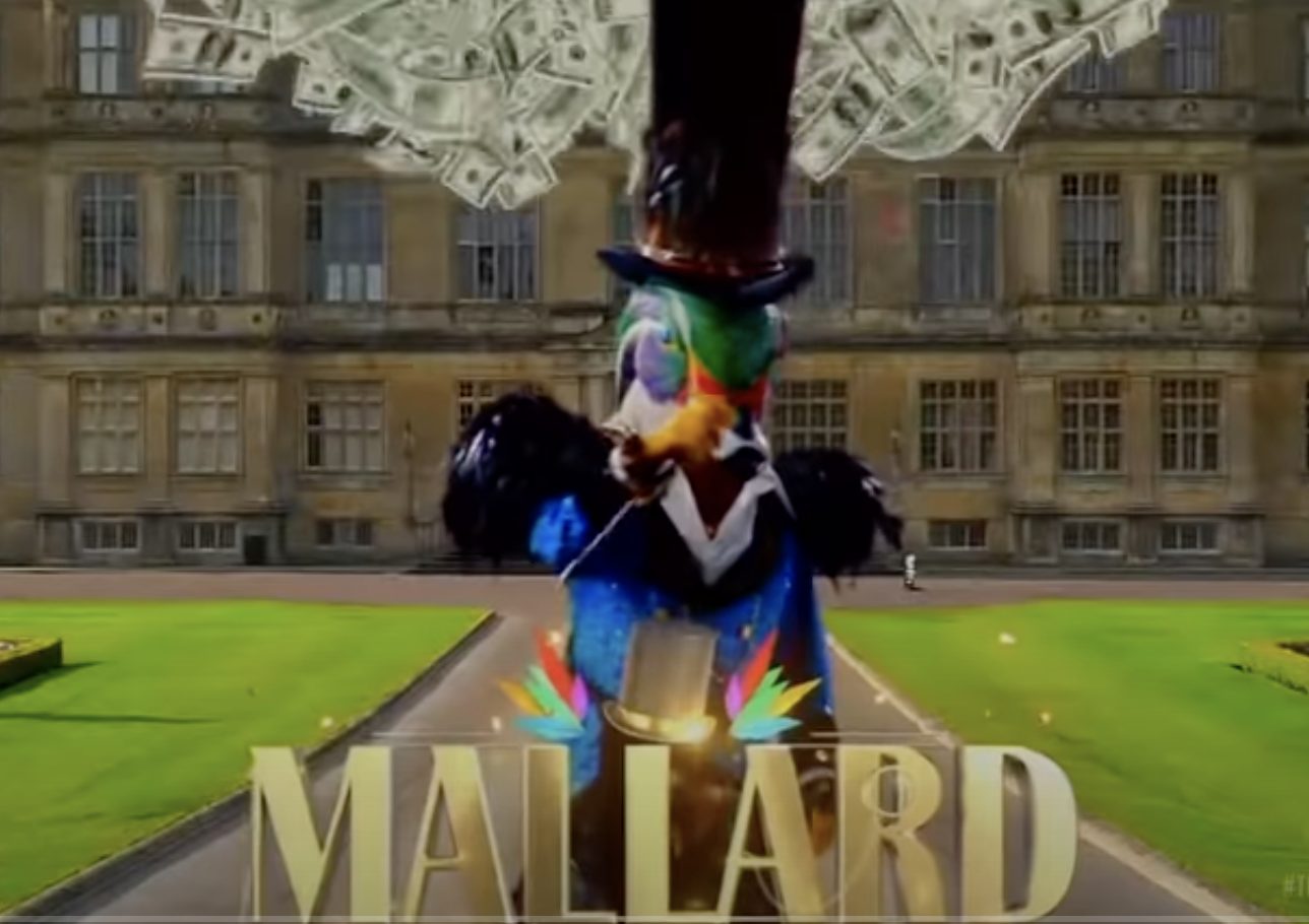 Chi è Mallard di «The Masked Singer»? Tutto quello che sappiamo