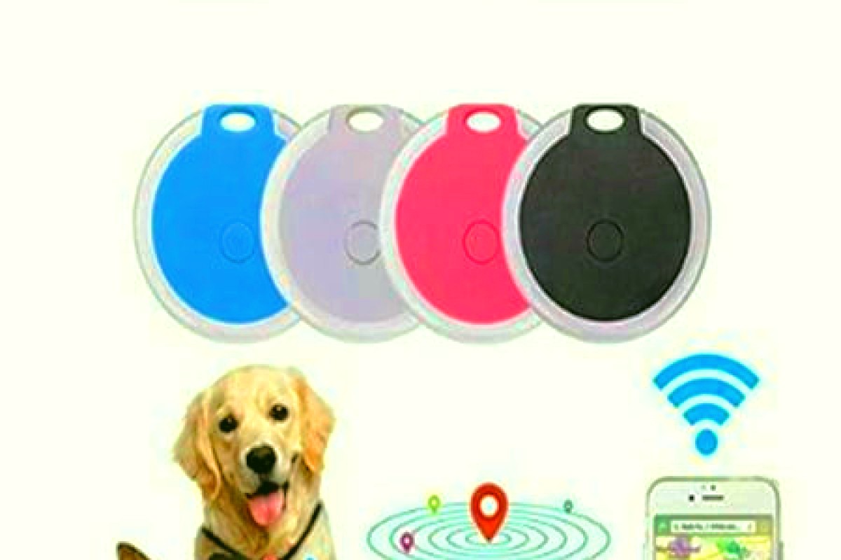 Come usare il dispositivo di tracciamento GPS per animali e quale è il top del 2023.
