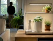 Accessori IKEA per la cura delle piante: pratici e di design