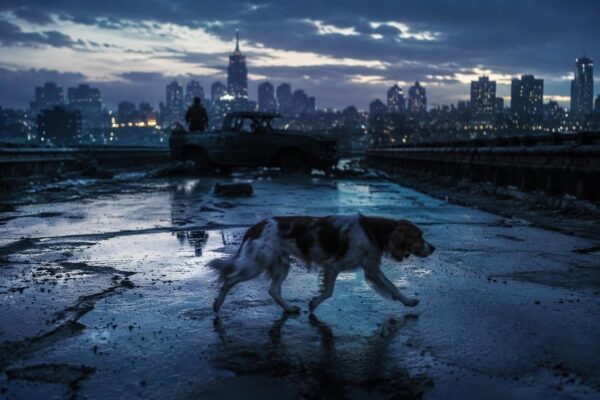 The Dog Stars: la storia dietro il film di Ridley Scott con Jacob Elordi e il cane Raksha