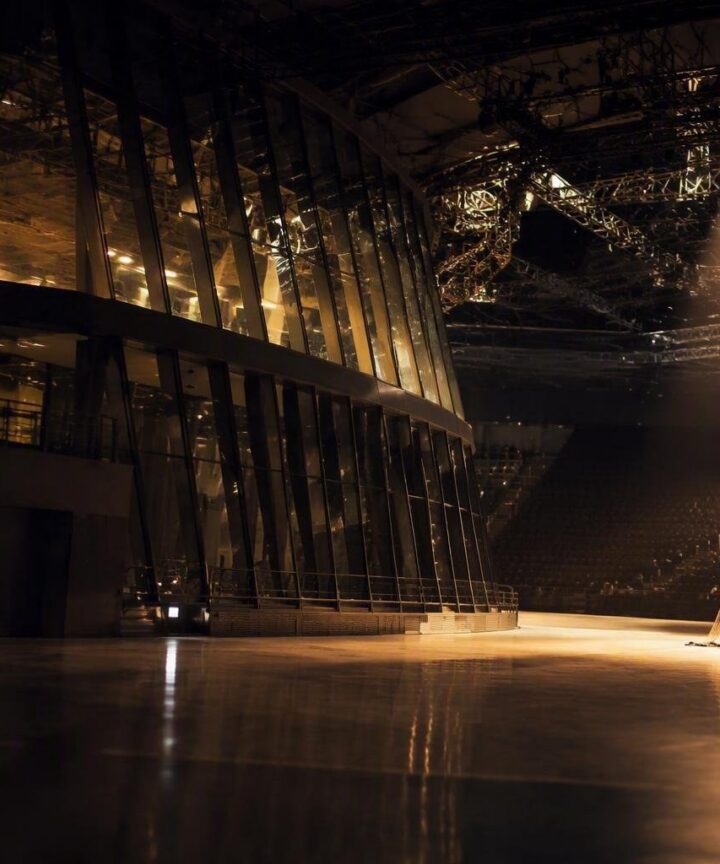 Céline Dion: moda e musica nella residency di Nanterre