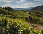 Il progetto globale World Cycling Sustainable Events accoglie Prosecco Cycling