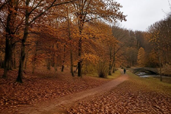Scopri dove vedere i colori d’autunno nei parchi europei