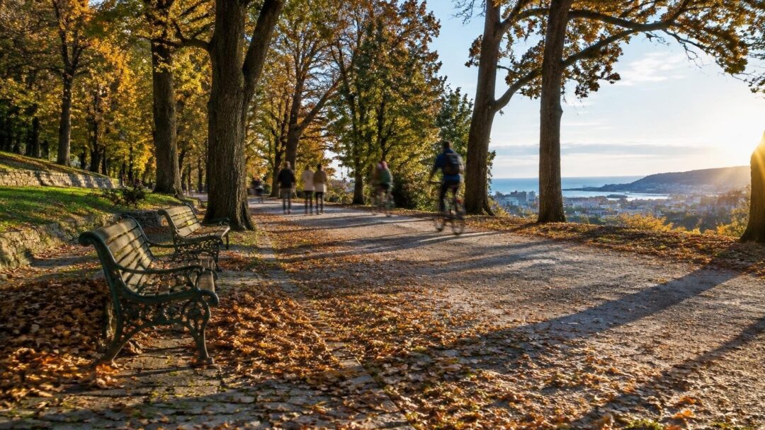 Ancona aderisce al movimento delle città gentili e apre Posatora