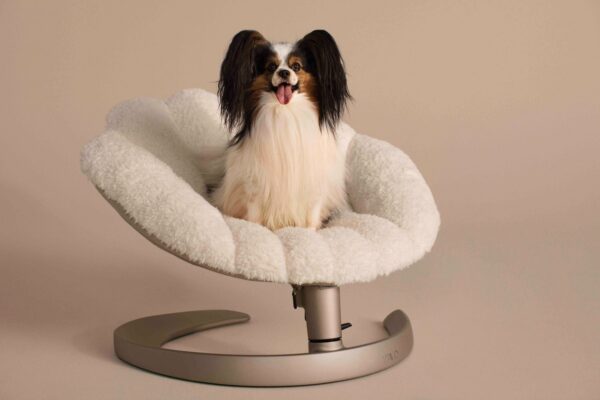Cuccia relax Shell: benessere a casa per il tuo cane o gatto