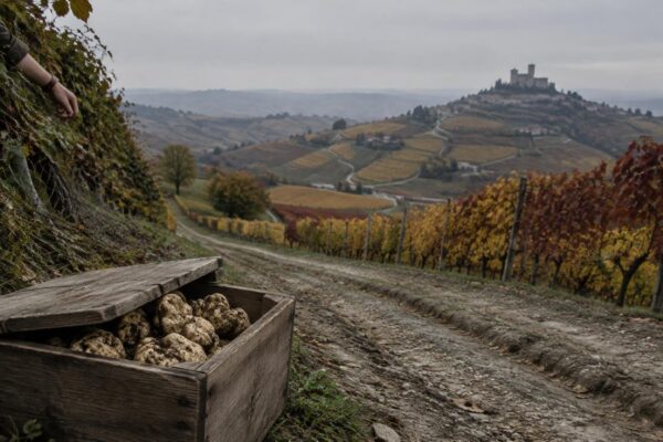 Itinerari autunnali nel cuore delle Langhe e del Roero