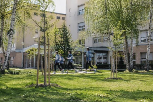Progetto Un albero per la salute, 34 alberi in 2026