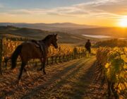 Viaggi di stagione: cavalli, vino, avventure brevi e lusso esperienziale