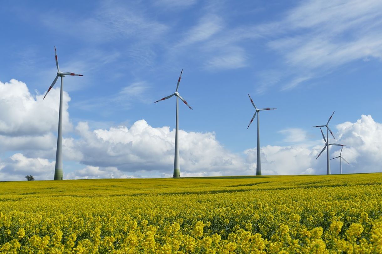 Clima y enfermedad: detrás de todo hay energía, pero las empresas reman en contra