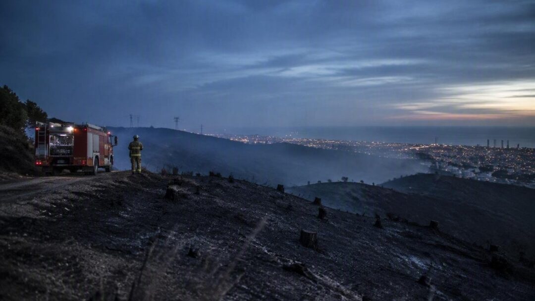 Última hora del incendio en Collserola: causas, afectaciones y estado actual