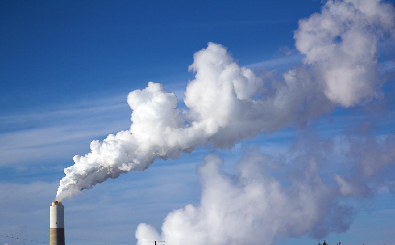 pandemie tempeste cambiamenti climatici