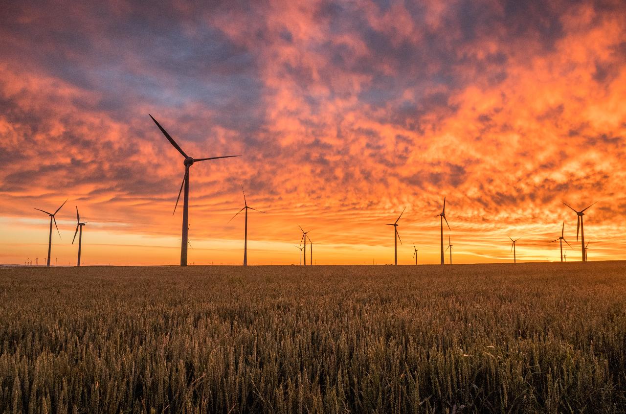 green new deal