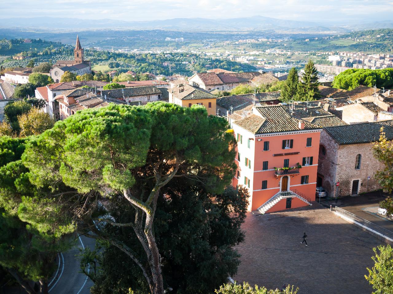 piantare alberi