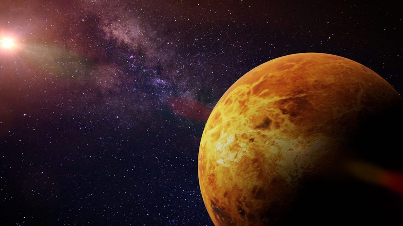 vita su venere