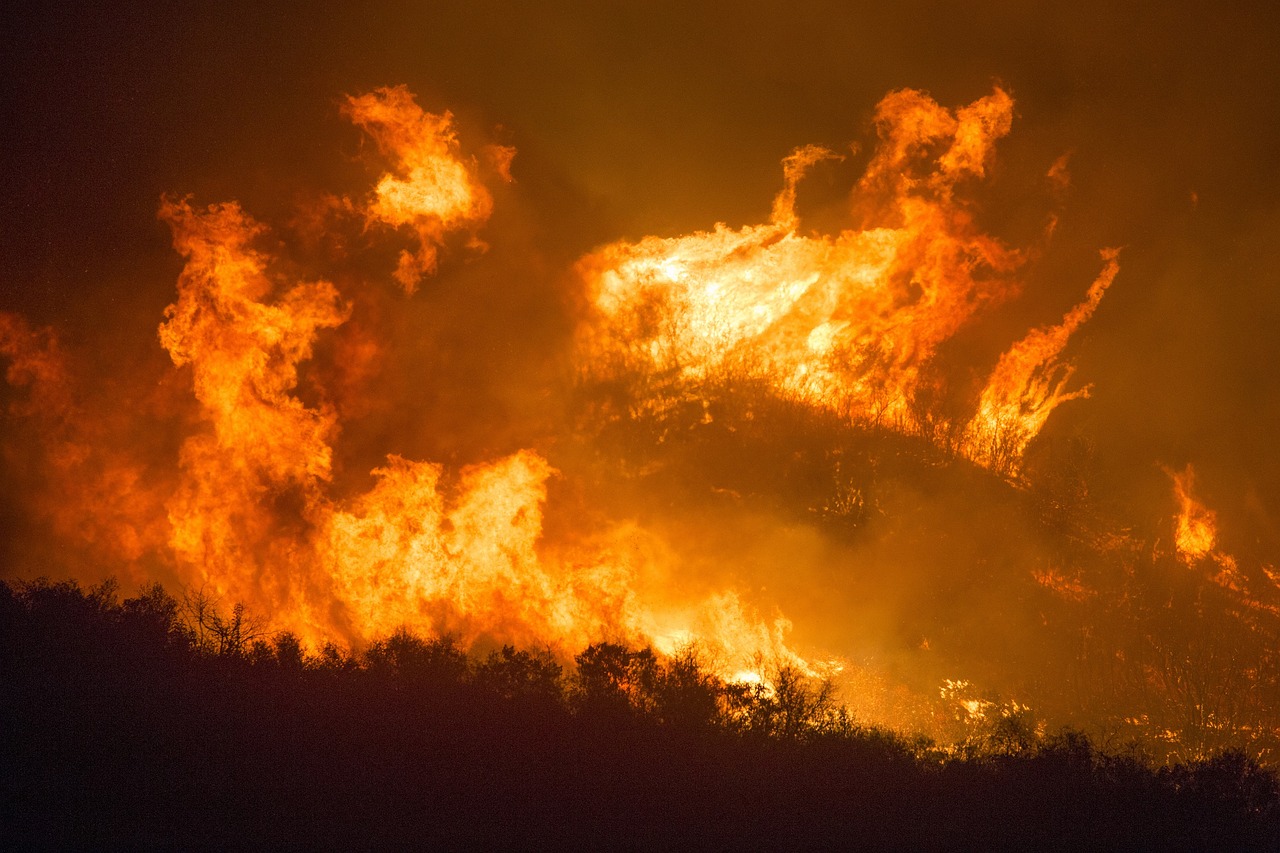 incendio foresta