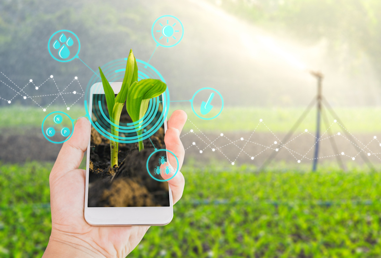 tecnologie alimentari