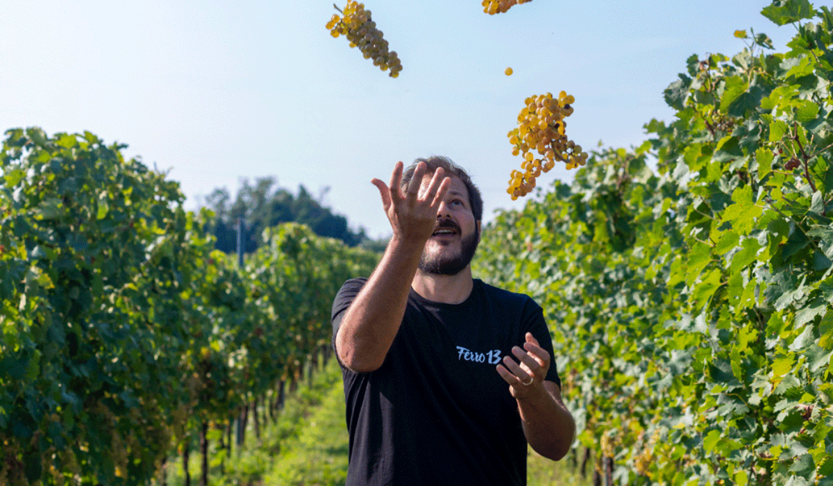 Vigna Ferro13