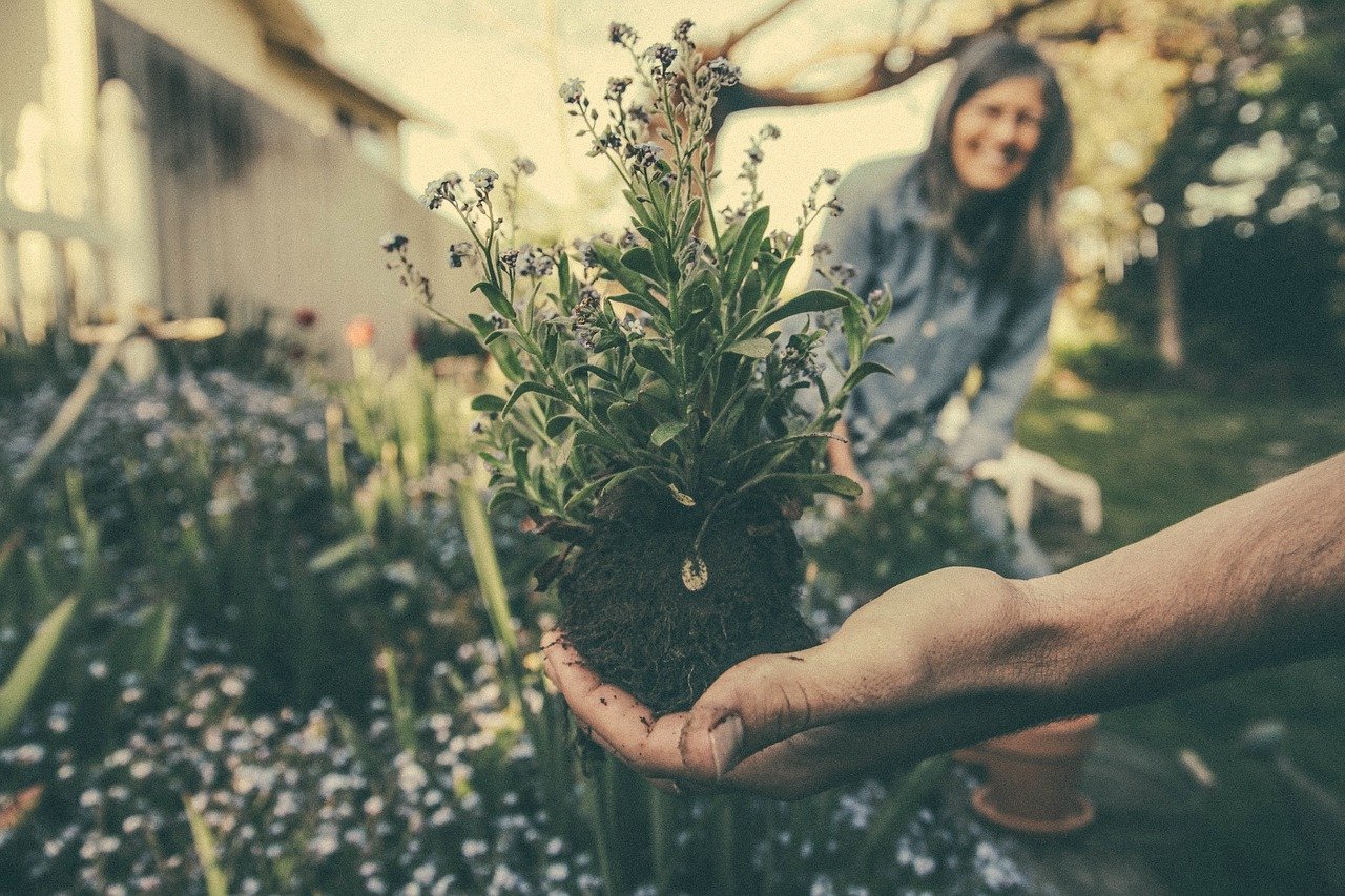 aprire una ditta di giardinaggio