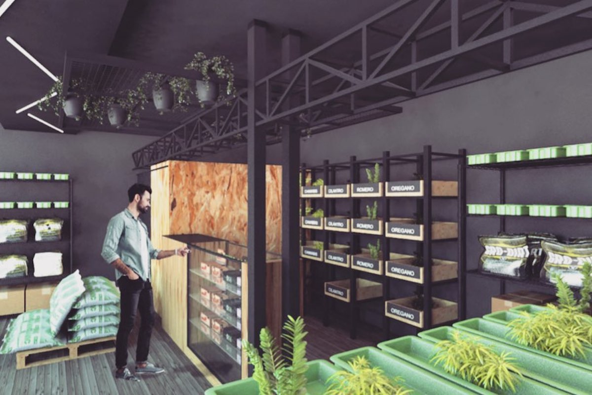 Come aprire un grow shop: i requisiti, i costi e l’iter da seguire