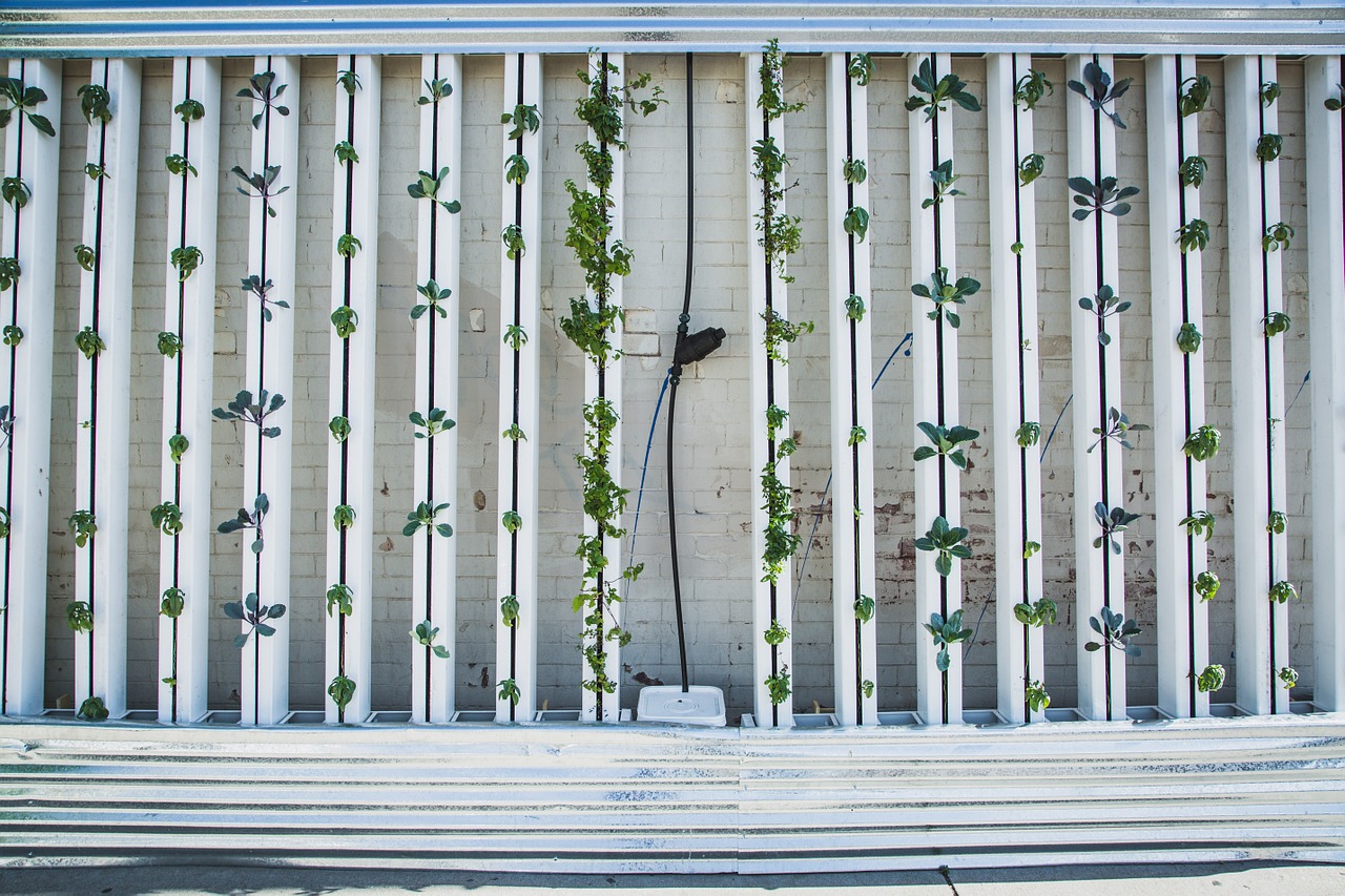 vertical farming
