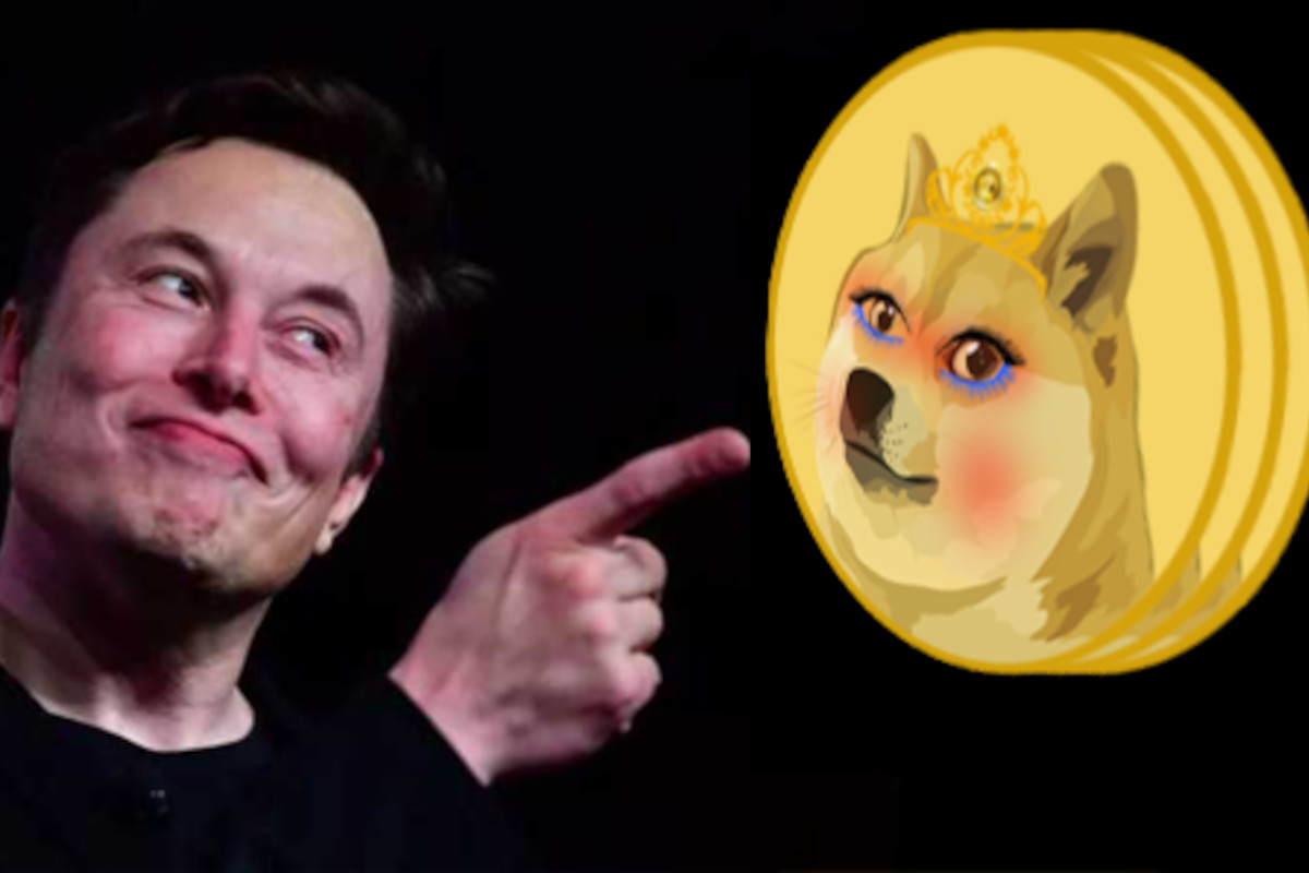 Wifedoge, il “like” di Elon Musk alla criptovaluta “moglie” di Dogecoin