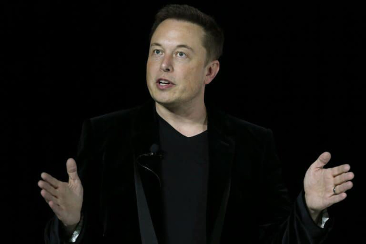 Hamster, un commento di Elon Musk aumenta del 500% il valore della criptovaluta