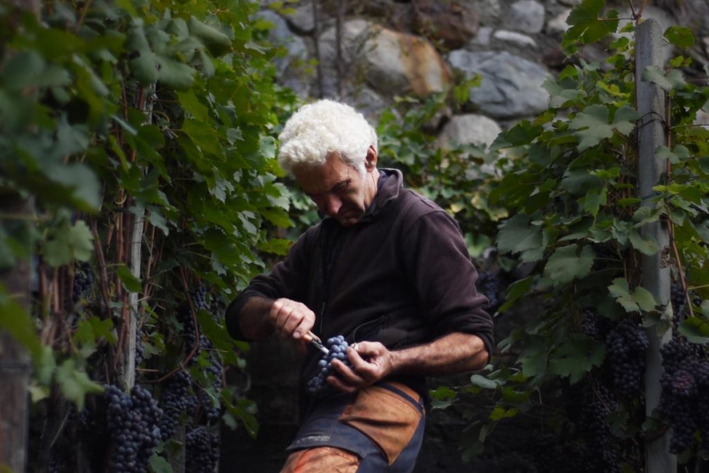 GUIDO BRESESTI