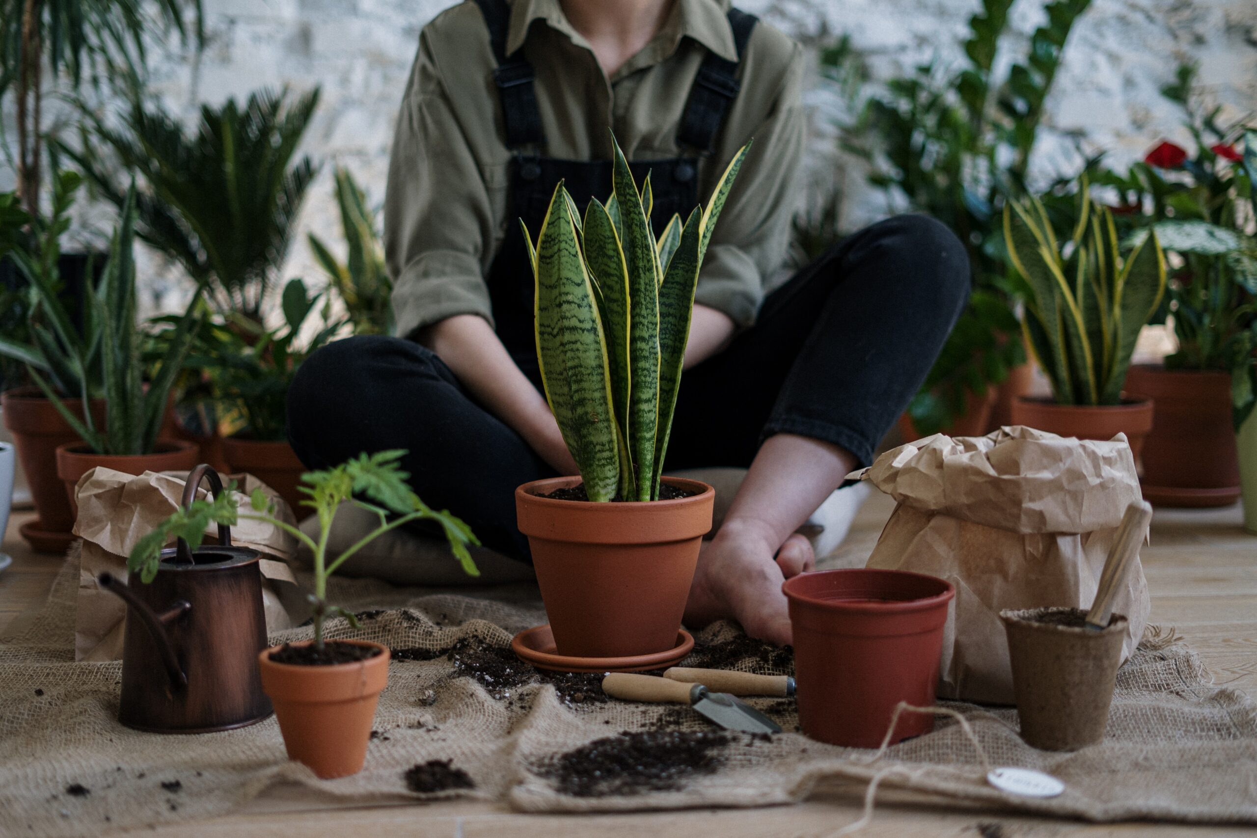 3 consigli su come progettare il proprio giardino