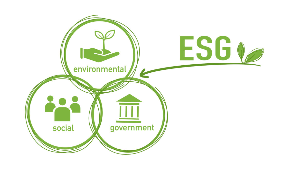 Cosa significa la sigla ESG e perché è importante saperlo