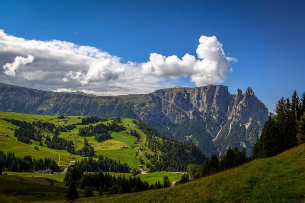 Alpe di Siusi in estate: trekking, eventi e attività in quota