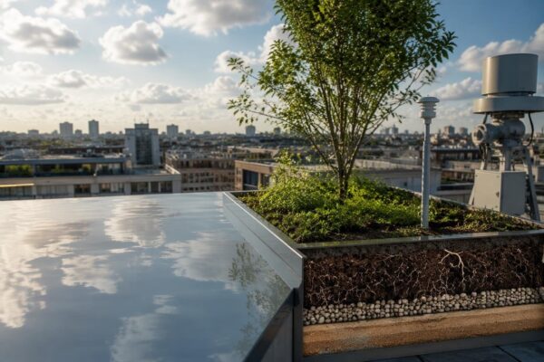 Guida pratica a cool roofs, alberature, permeabilità ed early warning