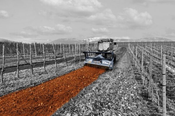Liberare, recuperare, mantenere: tre obiettivi della trincia forestale professionale
