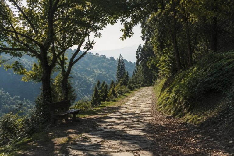 Itinerari di benessere a Torino: parchi, fiumi e colline accessibili