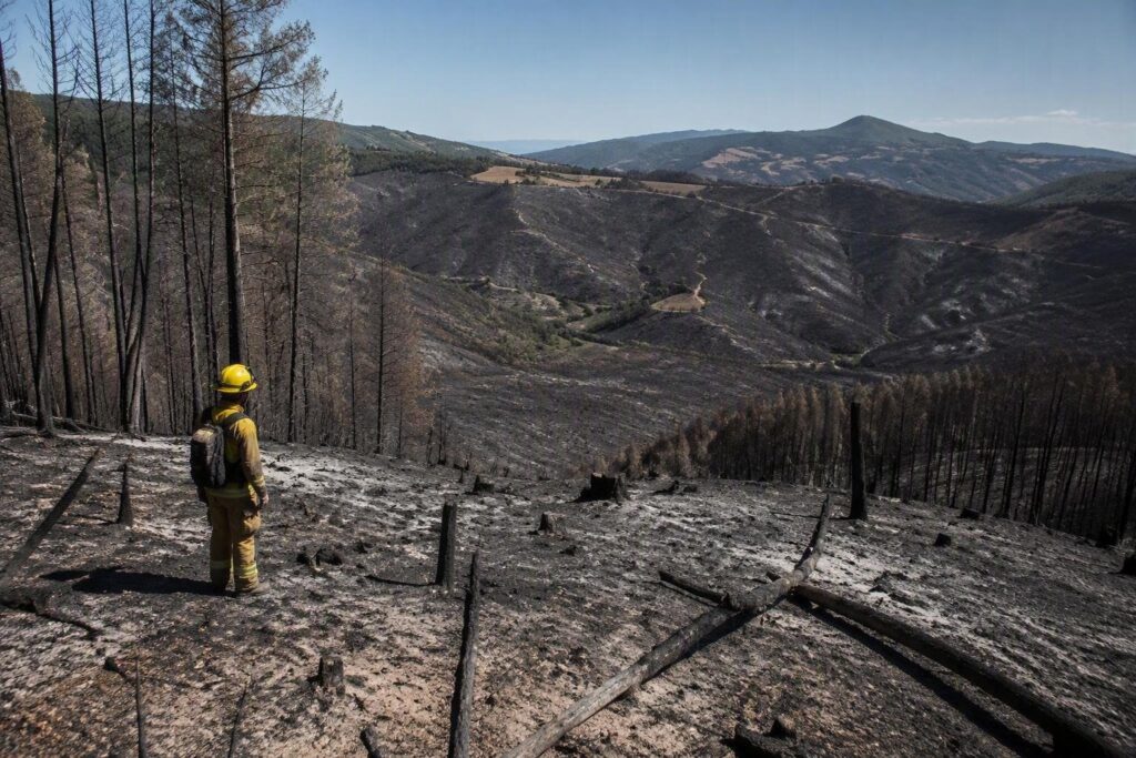 Incendi in Piemonte: 233 ettari di bosco distrutti a Mornese