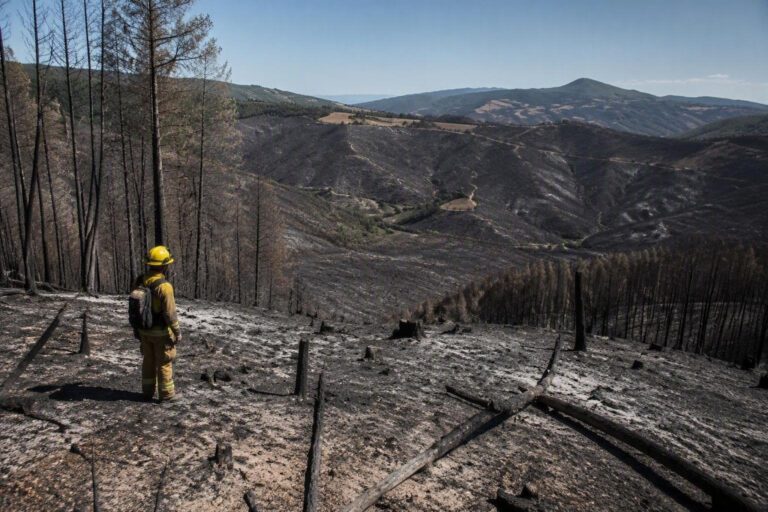 Incendi in Piemonte: 233 ettari di bosco distrutti a Mornese