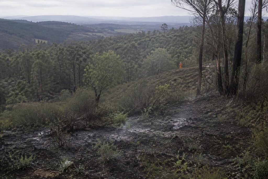 Incendi boschivi in Piemonte: cessato lo stato di massima pericolosità dall’11 settembre