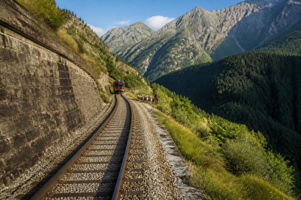 Incidente ferroviario a Savoulx: uomo e pecore travolti dal treno Sfm3