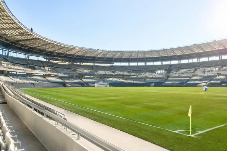 Vittoria casalinga del Torino per 2-1 sull’Udinese nella 6ª giornata