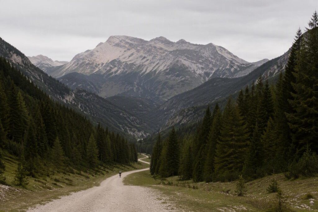 Mountain bike in Trentino: itinerari family-friendly, equipaggiamento e trail etiquette