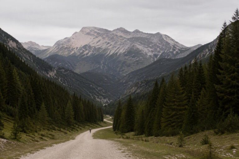 Mountain bike in Trentino: itinerari family-friendly, equipaggiamento e trail etiquette