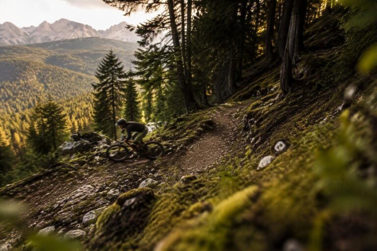Mountain bike XC in Trentino: guida pratica e sicura ai sentieri